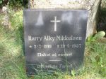 Harry Alky Mikkelsen.JPG